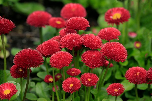 Manuel Pratique : Optimisez l'Efficacité de Votre Chaudière avec un Entretien Quotidien Simplifié